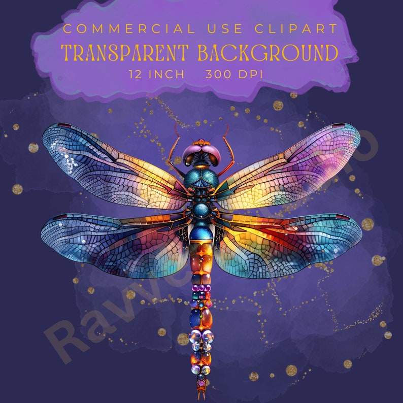Jeweled Dragonfly Clip Art | Dragonfly Clipart | Jewel | Dragonflies ...