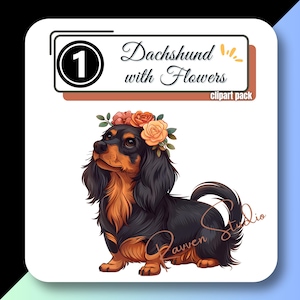 Dachshund DOG Clipart Clip Art Long-Haired Doxie Flowers Weenie Floral Wiener Puppy Transparent PNG Instant Digital Download Commercial Use