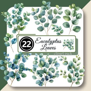 EUCALYPTUS Leaves Clipart Watercolor Greenery PNG Botanical Clipart for Weddings Green Leaf High Quality PNG Instant Download Commercial Use