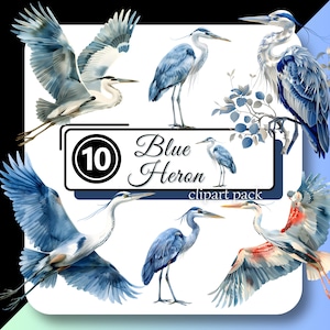 Lindo GRANDE GARÇA AZUL Clipart Pássaro Japonês Asiático Vibe Voando Voo Pássaro Ilustração Alta Qualidade Png Digital Download Uso Comercial