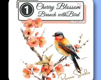 Love BIRD on CHERRY BLOSSOM Clipart Spring Flower Branch Finch Sparrow Sakura High Quality Transparent Png Instant Download Commercial Use