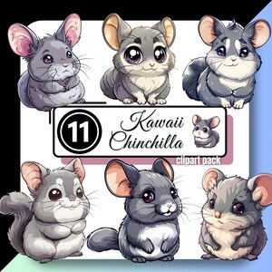 Cute Kawaii CHINCHILLA Clipart Chibi Animal Rodent Furry Pocket Cartoon Pet Graphic High Quality PNG Instant Digital Download Commercial Use