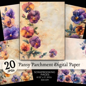 May include: A collection of digital scrapbook pages featuring watercolor pansies in shades of purple, orange, and yellow. The pages have a parchment paper background with the text "Pansy Parchment Digital Paper" and "8 1/2" x 11" pages".