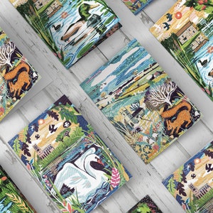 Drei Wildtier-Grußkarten von Jamie Poole, Grußkarten, A5-Größe, groß, Schwan, Eichhörnchen, Ente, Collage, wild lebende Tiere, Fluss, Karten