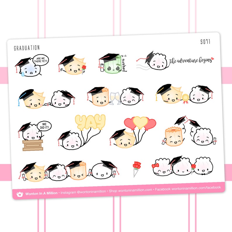 S071 Graduation Stickers Stickers Wonton In A Million, Planner Stickers, Character Deco Stickers // S-S071 image 2