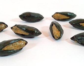Corn Tokens (set of 10)