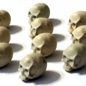 Realistic Skull Tokens (set of 10)