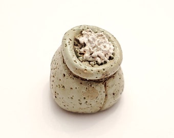 White Spice Sack Tokens (set of 10)