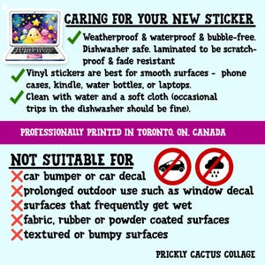 Op de afbeelding: Een informatieve afbeelding met de titel CARING FOR YOUR NEW STICKER met tekst over onderhoudsinstructies voor vinylstickers, inclusief weersbestendigheid, vaatwasserbestendigheid en aanbevolen oppervlakken, plus een lijst met ongeschikte toepassingen.