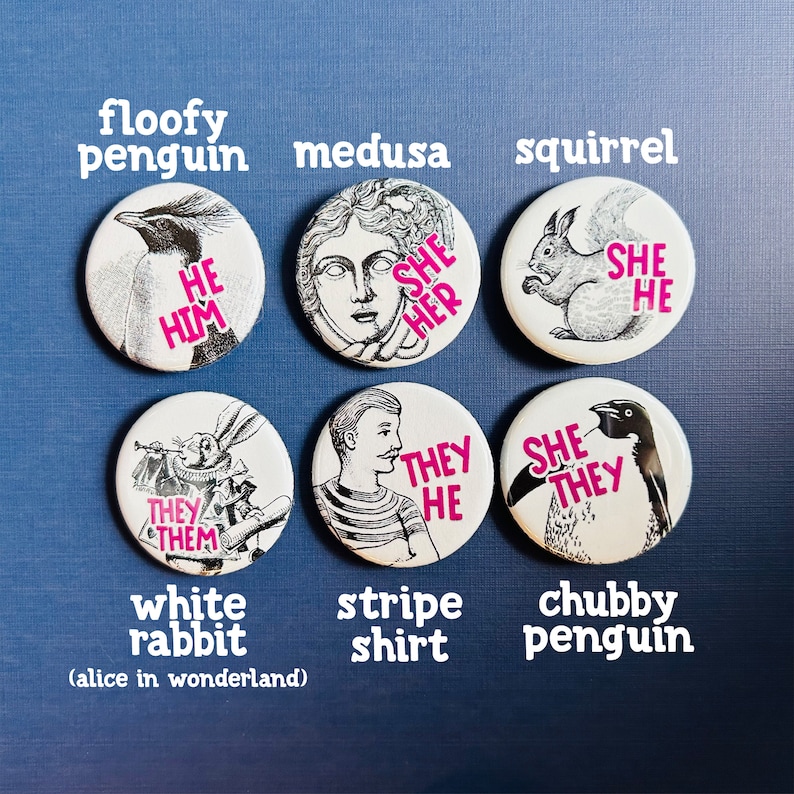 May include: Set of ten 2.5 inch diameter button pins featuring various illustrations and text. The pins include a penguin, a squirrel, a white rabbit, a medusa, a stripe shirt, and a chubby penguin. The text on the pins includes "He Him", "She Her", "She He", "They Them", "She They", and "They He".