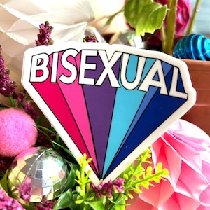Autocollant de fierté bi, drapeau de la fierté bisexuelle, autocollant mignon, autocollants étranges, jour de la fierté
