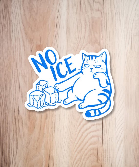 No Ice sticker, protest sticker for activists