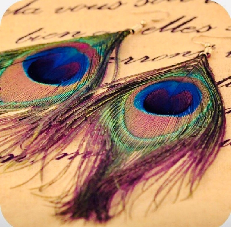 Peacock Feather Earrings by Captivating Capricorn Boho Chic Style Earrings Genuine Peacock Feathers with Gold Hypoallergenic Ear Wires