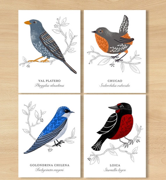 Cartes Postales Oiseau Oiseaux Exotiques De Mini Decor Etsy