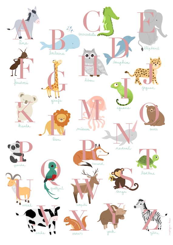 Animal Alphabet Affiche - Alphabet animalier 