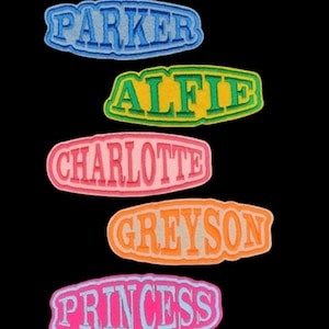May include: Five colourful fabric patches with names embroidered in white. The names are Parker, Alfie, Charlotte, Greyson, and Princess.