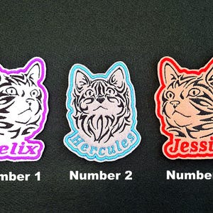 May include: Three embroidered cat face patches with names: "Felix", "Hercules", and "Jessie". Each patch features a different colour outline and name font. The patches are numbered 1, 2, and 3.