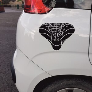 May include: A white car with a black cobra sticker on the rear bumper.