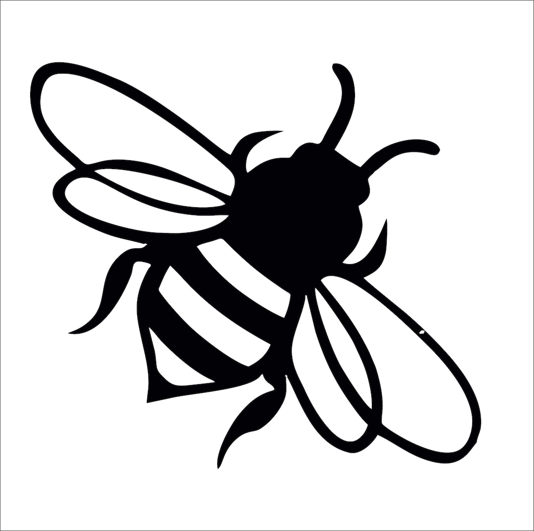 Bee Vinyl Car Decal | Vehicle Graphics - Etsy
