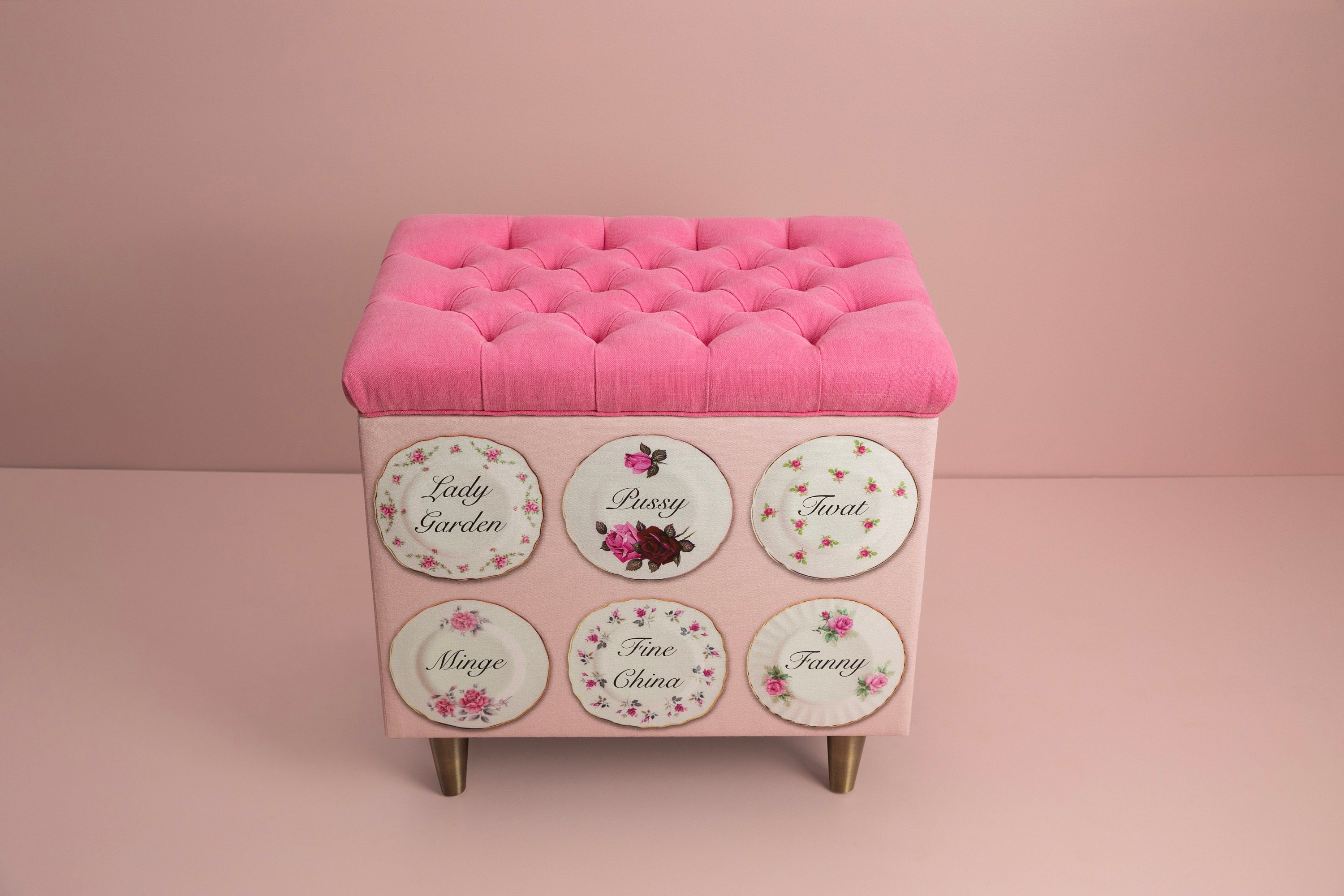Exibition Piece Vagina Upholstered Box Storage Ottoman Feminist