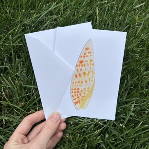 Biglietto di auguri con conchiglia