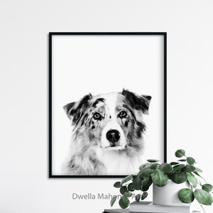Australian Shepherd Australian Shepherd Art Print Australian Etsy