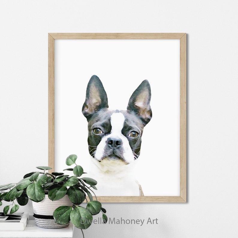 Boston Terrier Dog Art Print Printable Wall Art Dog Lover | Etsy