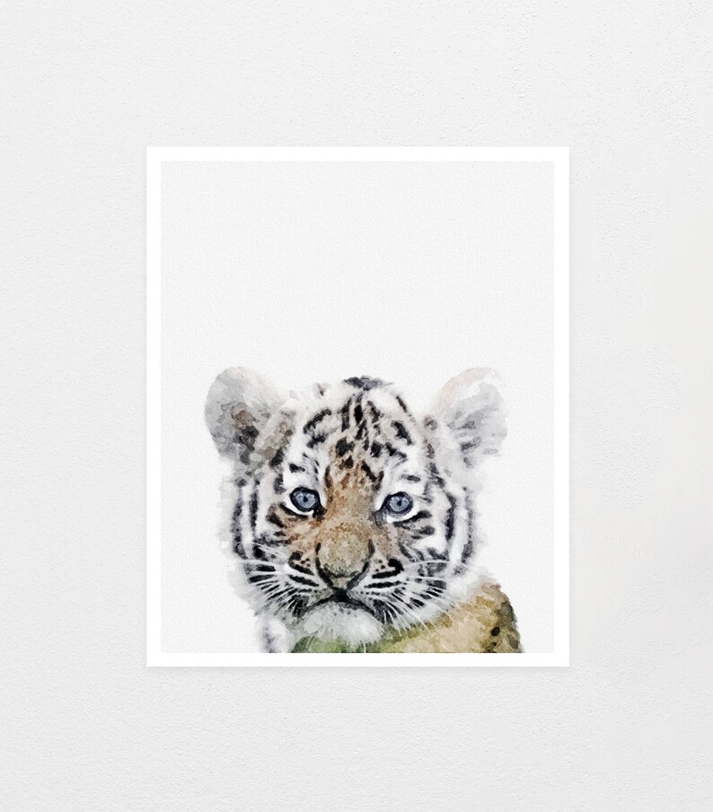 Baby Tiger Print Nursery Animal Print Tiger Print Safari Etsy