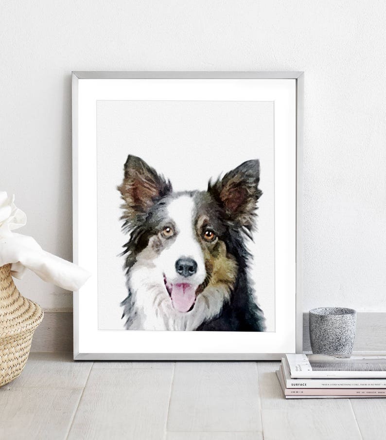 Border Collie Print Border Collie Poster Nursery Wall Art Etsy