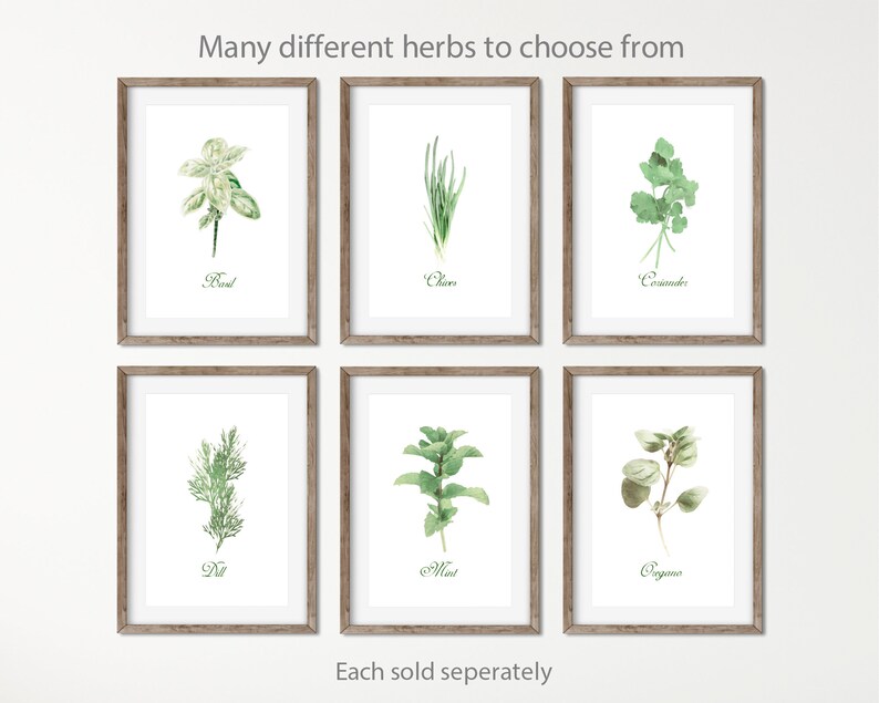 Herb Art Watercolor Print Kitchen Wall Art Botanical Prints Etsy