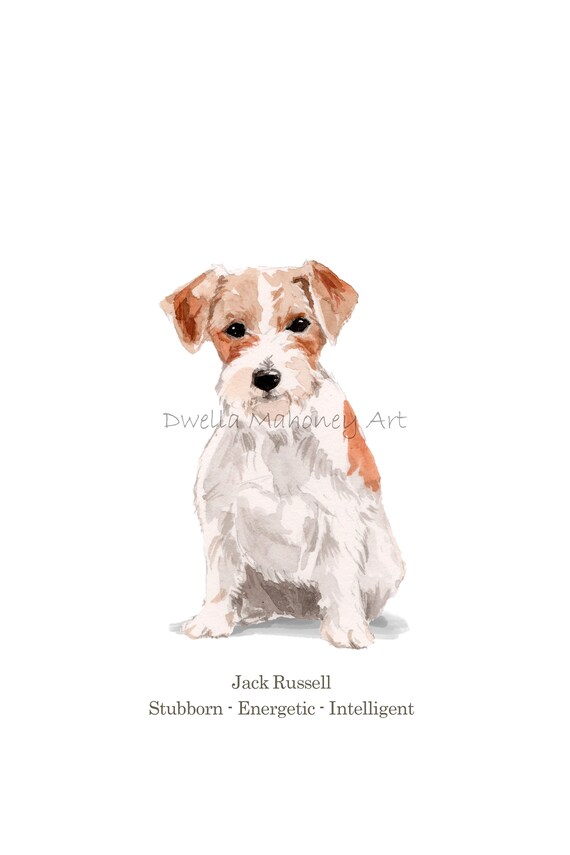 Jack Russell Terrier Puppy Dog Wall Picture Art Print