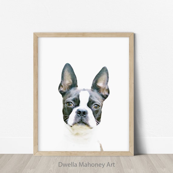 BOSTON TERRIER Wanted Poster FRIDGE MAGNET New DOG