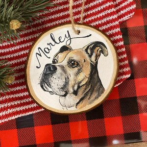 Detailed Pet Portrait, Christmas Ornament, Pet Memorial Ornament