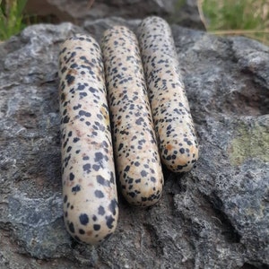May include: Three smooth, polished, speckled, cylindrical stones in shades of beige and black. The stones are arranged in a row on a gray, textured rock.