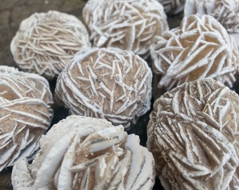 May include: A collection of white desert rose crystals, also known as selenite rose, with a delicate, layered, and intricate structure. The crystals are arranged on a rough, brown wooden surface.