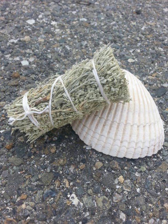 Sage/ Seashell/ Incense/ Vintage Shell/ Candles/ Home and Living/ Gift/ Gift for him/ Gift for her/ Natural/ Tree