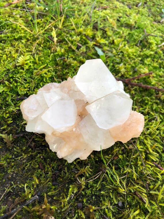 Apophyllite Crystal Cluster_ Zeolite Quartz_ White Apophyllite_ Gift_ Metaphysical Healing Supplies_  Chakras_ Unique Crystal Gift