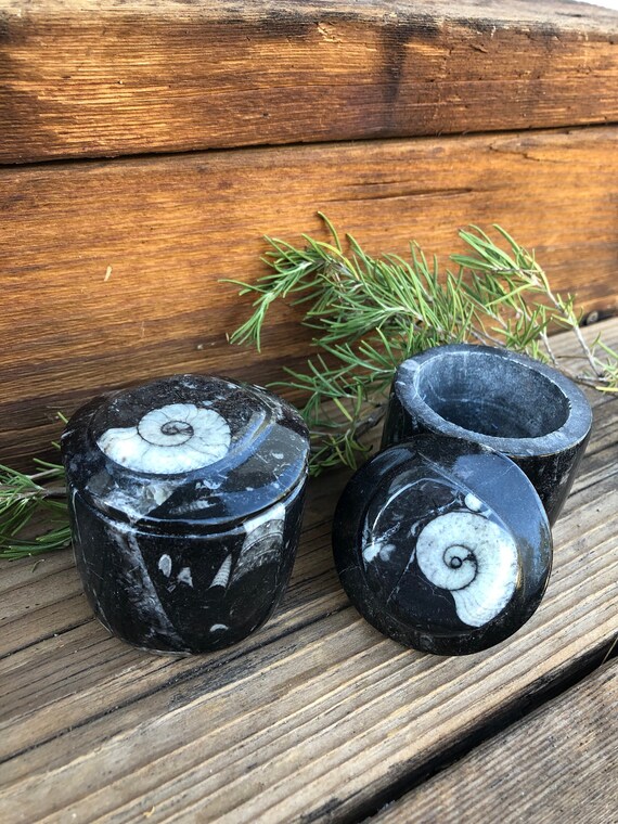 Fossil Dish_ Kitchen Storage_ Salt Jar_ Orthoceras Fossil_ Unique Gift_ Jewelry Storage Dish_ Jars and Containers_ Black Crystal Bowl