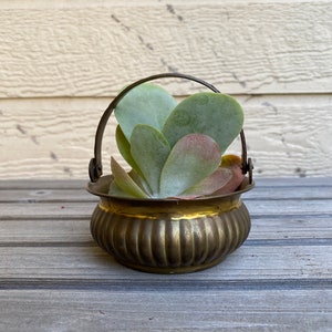 Little Brass Basket with Handle