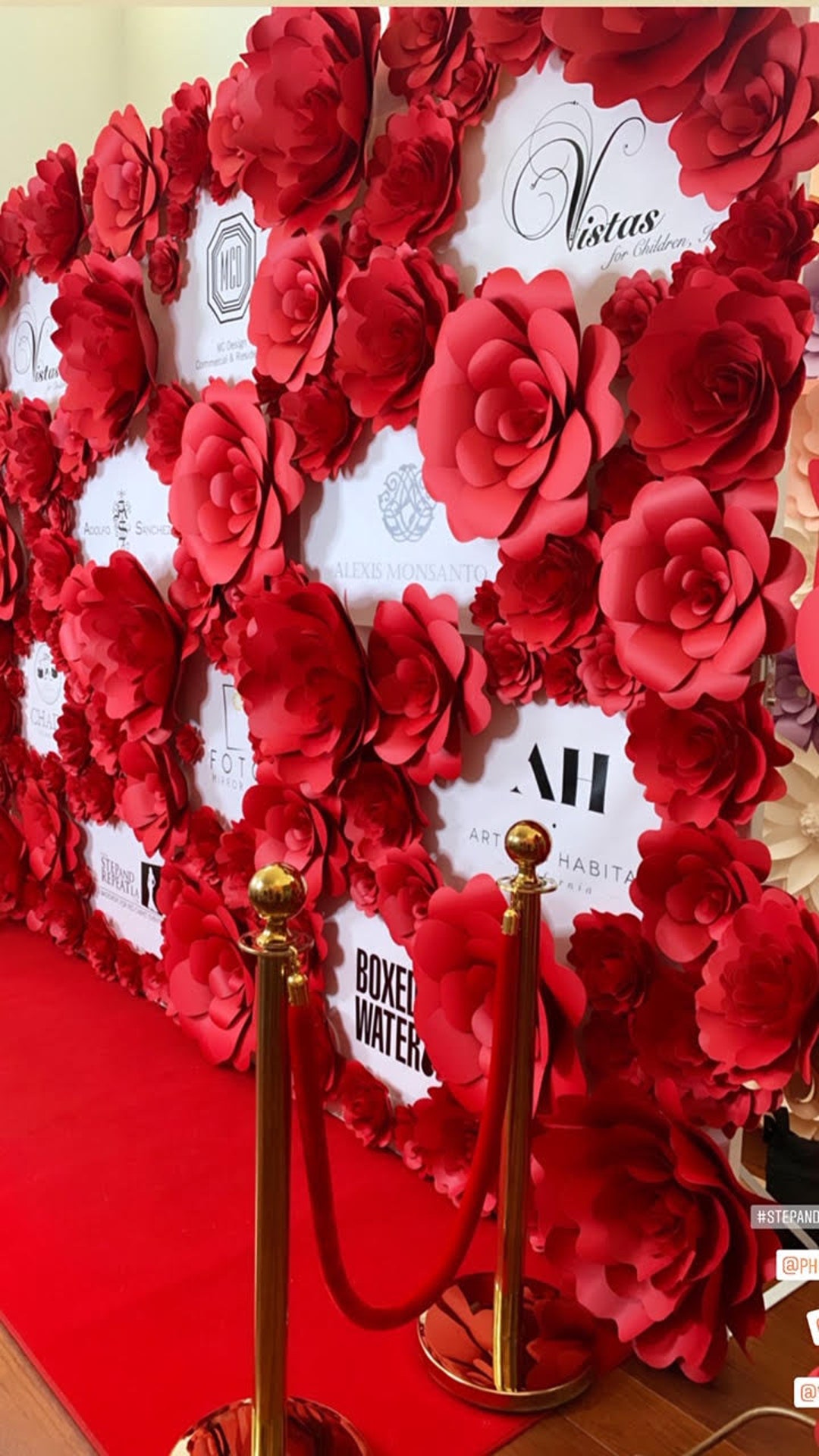 DIY Step and Repeat Flower Wall Kit Etsy