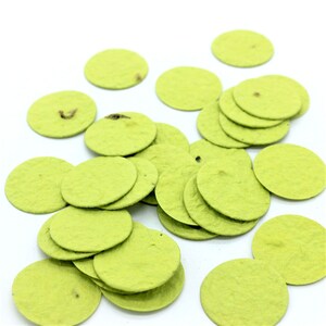 Seed Confetti Seed Paper Confetti CIRCLE pistachio | pistachio green - sustainable gift idea, wedding gift