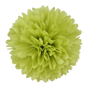 PomPom PISTACCHIO | verde pistacchio - fatto a mano in Germania da carta velina satinata di alta qualità - 7 formati