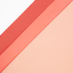 Carta velina mix FRUIT SORBET 50 x 75 cm