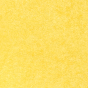 Carta velina RANUNCOLO | giallo - seta floreale, carta da regalo, fogli artigianali per imballaggio e artigianato
