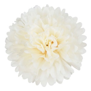 PomPom VANIGLIA FRANCESE | beige - fatto a mano in Germania da carta cerata satinata di alta qualità - 7 formati