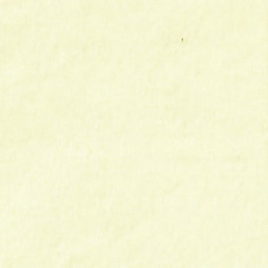 Carta velina VANIGLIA FRANCESE | crema - seta floreale, carta da regalo, fogli artigianali per imballaggio e artigianato