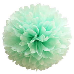 PomPom COOL MINT | verde menta - fatto a mano in Germania da carta velina satinata di alta qualità - 7 formati