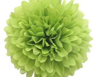 PomPom ALOE | aloe green - handmade in Germany from high quality satinwrap tissue paper - 7 sizes