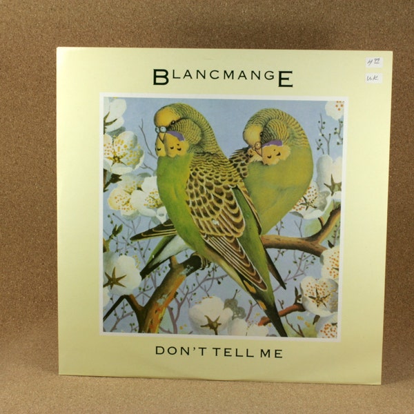 Blancmange Vinyl Album - Don't Tell Me Record - 1984 Electronic Music - Polydor Record Label - Near Mint Condition