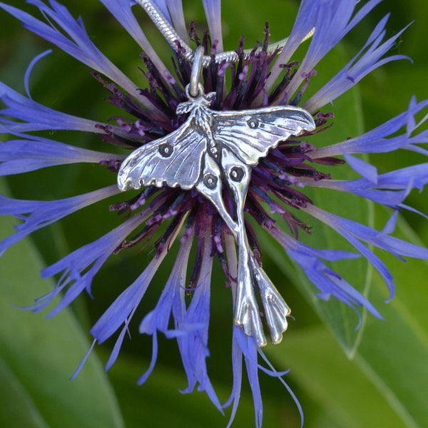 Collier de papillon de nuit - Pendentif de papillon de lune malgache - Mini pendentif d'insecte - Bijoux de faune inspirés de la nature faits à la main par Emma Keating